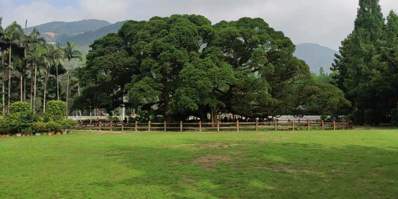 福州英諾科技全體員工于福州國家森林公園開展團(tuán)建活動(dòng)